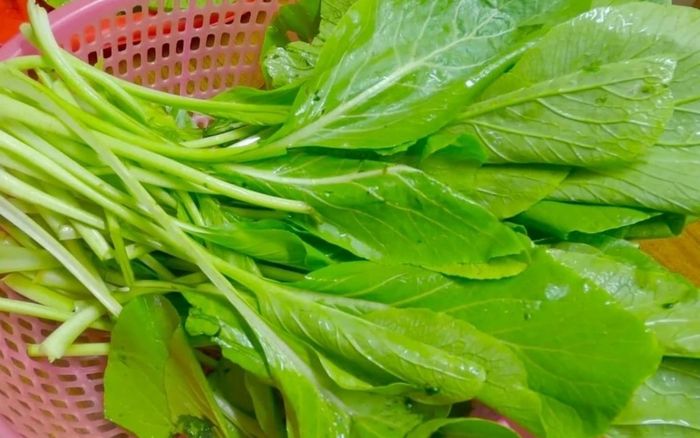 Người phụ nữ ăn rau cải mỗi ngày suốt 10 năm, kết quả khám sức khỏe gây ngỡ ngàng