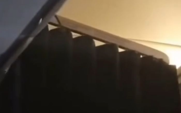 Phát hiện bóng đen di chuyển trên khoang máy bay, hành khách tá hỏa sau khi biết danh tính