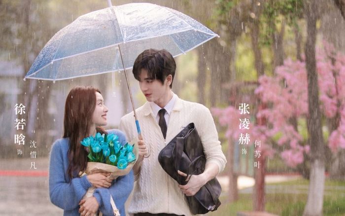 Top phim Hoa ngữ chữa lành trong dịp Giáng sinh