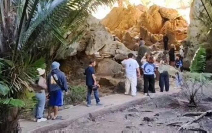 Phát hiện sinh vật quý hiếm có màu sắc cực lạ, người dân ùn ùn kéo đến xem