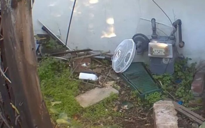 Nhà cửa nhiều lần bị phá hoại, người đàn ông kinh hãi khi phát hiện con 'quái vật' 200 ký sống trong nhà