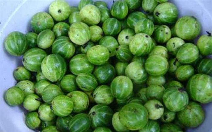 Loại quả trước mọc dại nay được người dân vun xới, phải nấu với thịt ba chỉ mới ngon đúng điệu