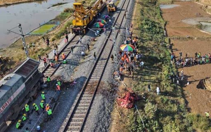 7 con thú khổng lồ bị xe lửa tông chết tại chỗ, hiện trường gây bàng hoàng