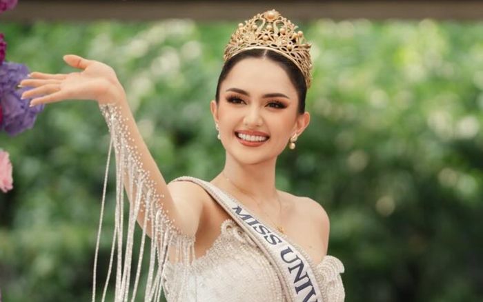 Á hậu Miss Universe 2025 bị fan Việt 'tấn công' trong đêm Giáng sinh