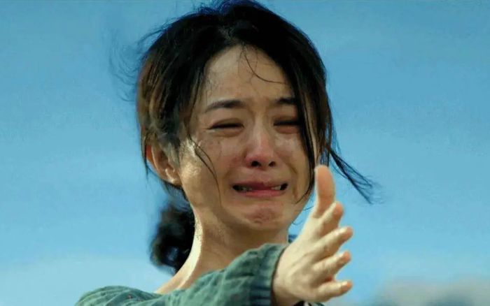 Triệu Lệ Dĩnh gây tranh cãi