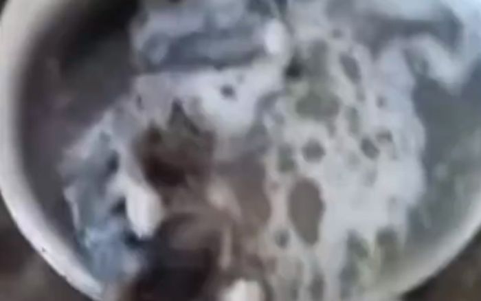 Đi ăn sáng ở nhà hàng, người phụ nữ kinh hoàng khi phát hiện thứ trong nồi canh