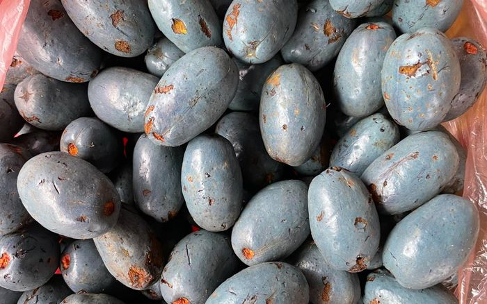 Loại quả đen sì ở Phú Thọ bất ngờ nổi lên như cồn, người khen béo bùi, người chê 'rùng mình' khi vừa cắn thử