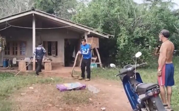 Dọn nhà đón năm mới, chủ nhà sửng sốt khi phát hiện 'vị khách' nguy hiểm
