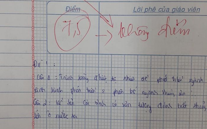 Bài kiểm tra làm đúng nhưng bị chấm 0 điểm, nhiều người vẫn bênh vực giáo viên