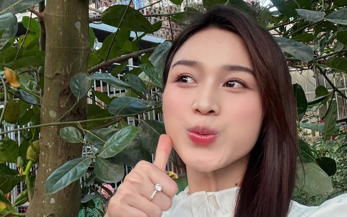 Sản phẩm thuần chay mà Đỗ Thị Hà yêu thích