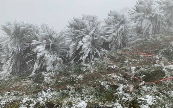 Không khí lạnh tăng cường, Bắc Bộ – Trung Bộ rét sâu, biển động mạnh