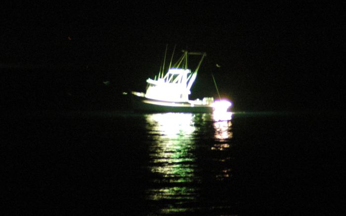 Người phụ nữ đi câu mực thì mất tích, được tìm thấy trong tình trạng khó tin