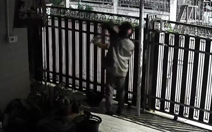 Chàng trai tuyệt vọng khi bị trộm chim cảnh trị giá hơn 200 triệu đồng