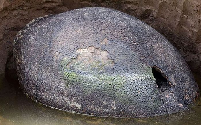 Chú chó liên tục sủa hòn đá lạ, người chủ mừng rỡ khi đến gần kiểm tra