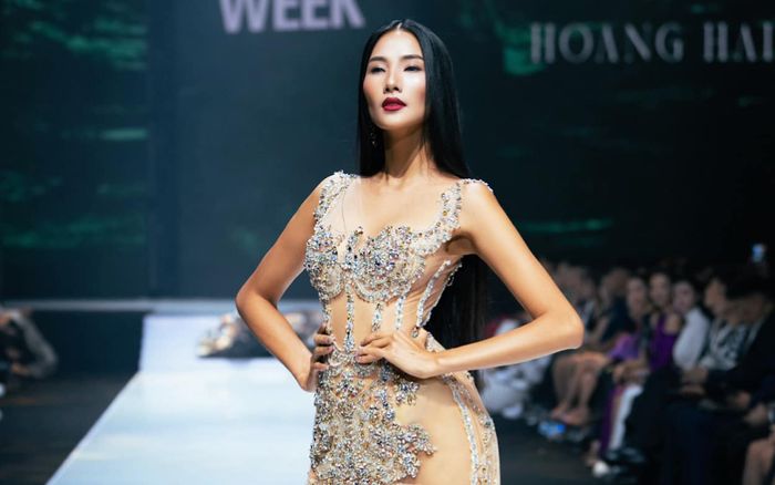 Tình cảnh của Hoàng Thùy sau khi 'đụng chạm' Thanh Hằng