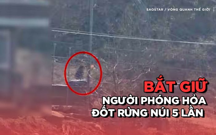 Bắt giữ người đàn ông phóng hỏa 5 lần đốt rừng núi
