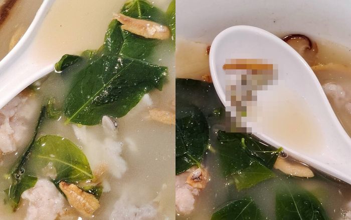 Phát hiện sinh vật lạ nằm trong tô mì đang ăn, người phụ nữ tức giận trước lời giải thích từ nhà hàng
