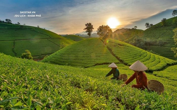 Chỉ hơn 1 triệu đồng: 'Bỏ phố lên rừng' đi chill Mộc Châu trong 2 ngày 1 đêm dịp lễ 30/4