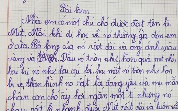 Học trò tiểu học viết bài văn tả con chó, 2 câu cuối khiến ai cũng phải cười sặc sụa