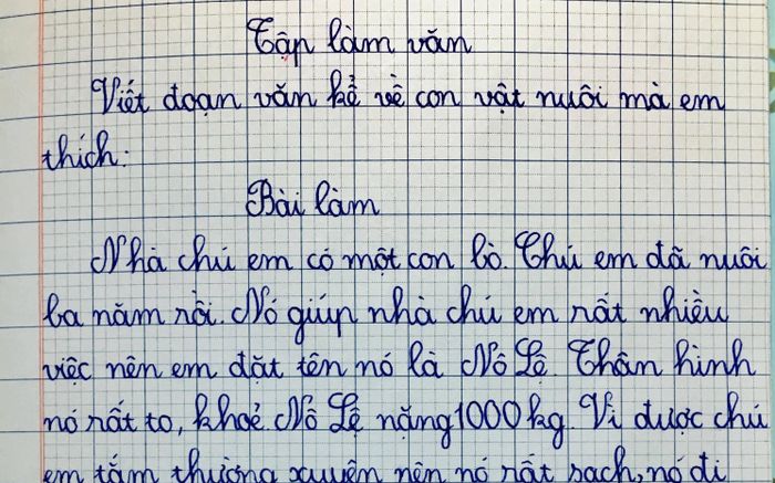 Bài văn tả con bò tên 'Nô Lệ' cực đáng yêu nhưng câu kết gợi lên nỗi buồn nhẹ tênh