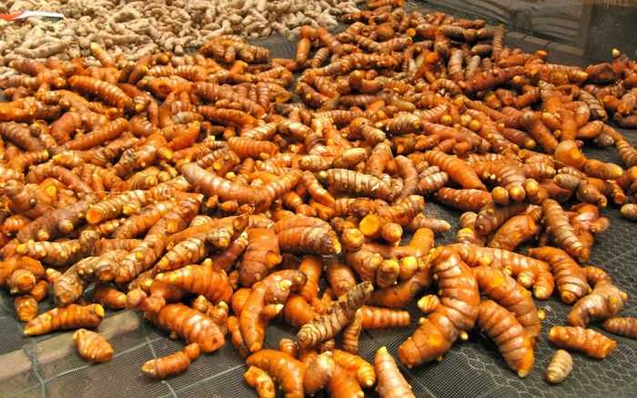 Loại củ 'đẻ ra vàng' ở Việt Nam có rất nhiều, trên thế giới cực hiếm lại giá đắt