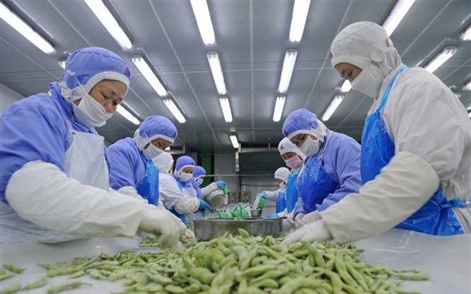 Chuyên gia cho biết thuế đối ứng có thể đàm phán xuống mức 10%