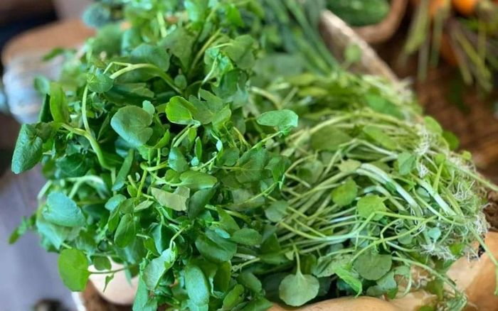 4 loại rau cải được Mỹ xếp quý như vàng, chợ Việt Nam bán vài nghìn đồng/bó