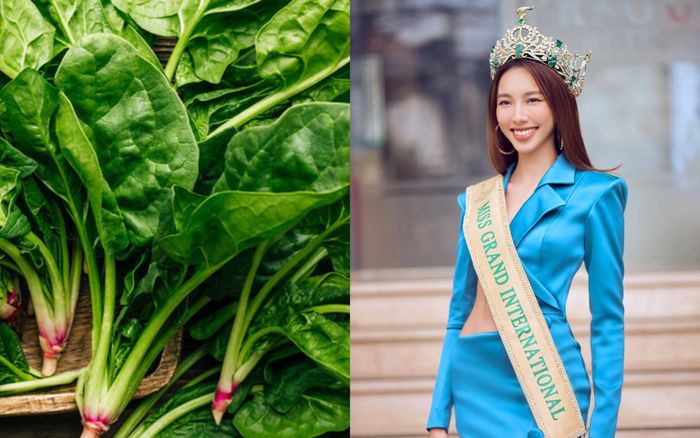 Cơ thể sẽ ra sao nếu không ăn rau củ như Hoa hậu Thùy Tiên?