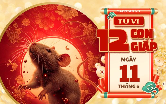 Tử vi hôm nay 11/5: 3 con giáp đón 'cơn mưa tài lộc', không cần bận tâm về tài chính