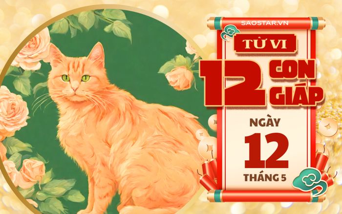 Tử vi hôm nay 12/5: 3 con giáp số hưởng, ngồi không tiền bạc cũng rủng rỉnh