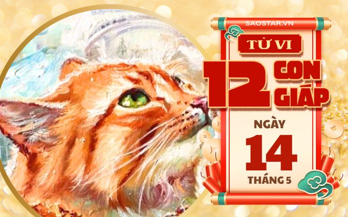 Tử vi hôm nay 14/5: 3 con giáp thuận lợi trong công việc lẫn tài chính, làm đâu thắng đó
