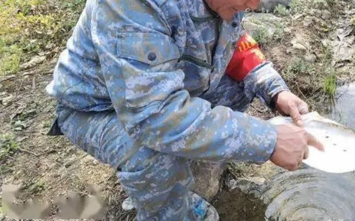 Nghe tiếng động lạ trong bể nước, người đàn ông tìm thấy loài vật 'tuyệt chủng' suốt 30 năm