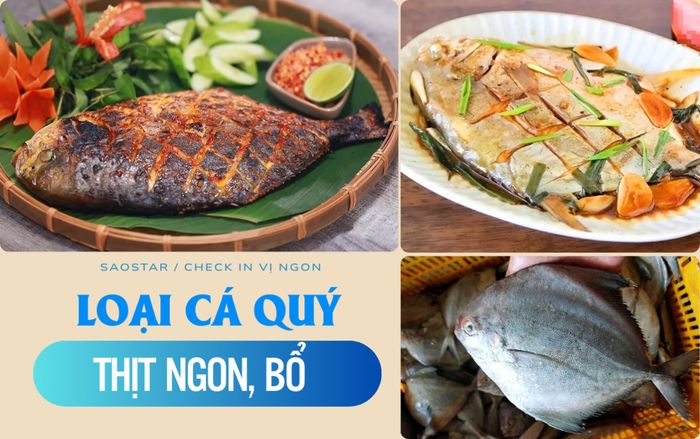 Loại cá đứng đầu 4 loại cá quý ở Việt Nam, hè này đi biển phải thử liền