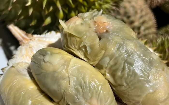 Giống sầu riêng có màu như bị mốc nhưng hương vị đặc biệt, giá bán hơn 600 nghìn đồng 1 ký