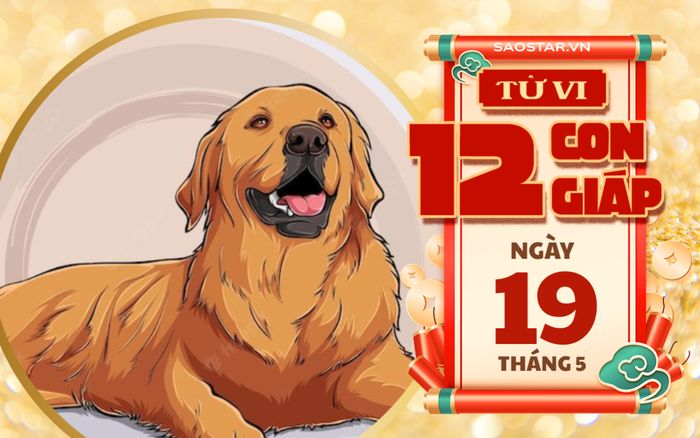 Tử vi hôm nay 19/5: 3 con giáp mở cửa đón tài lộc, tiền bạc rủng rỉnh