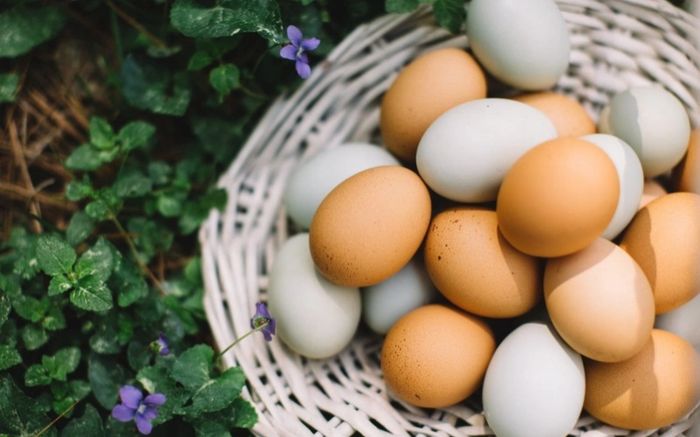Thực hư thông tin trứng gà giả đang khiến người tiêu dùng hoang mang