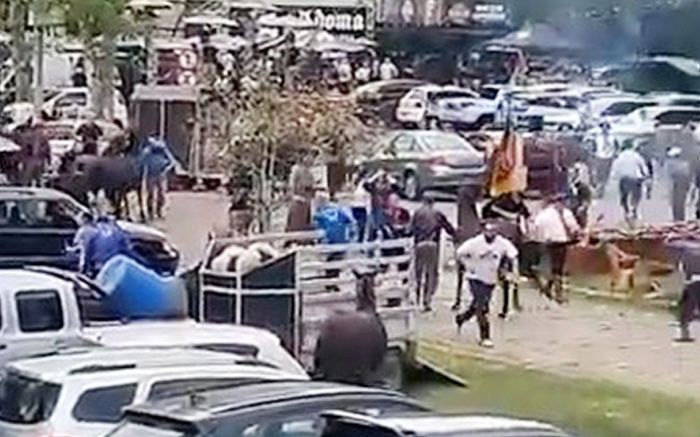 Buổi đua ngựa hỗn loạn, người tham gia tháo chạy vì bị bầy ong tấn công