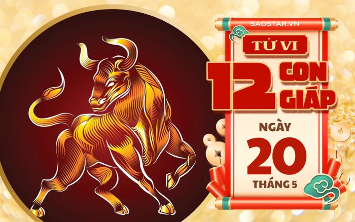 Tử vi hôm nay 20/5: 3 con giáp đón khoản thu bất ngờ, công việc thăng tiến