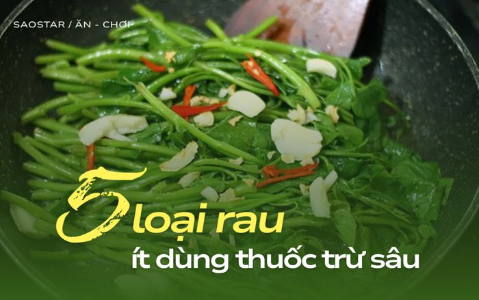 5 loại rau ít dùng thuốc trừ sâu đang vào mùa, giá lại rất rẻ