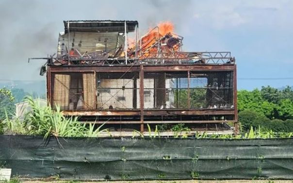 Chuồng bồ câu bốc cháy giữa ban ngày, 70 con chim bị thiêu rụi