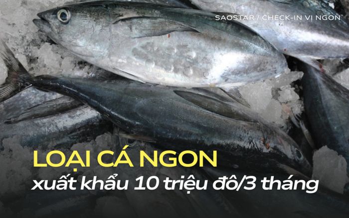 Một loại cá từ biển Việt Nam xuất khẩu 10 triệu đô/3 tháng, ngon bổ lại rất rẻ