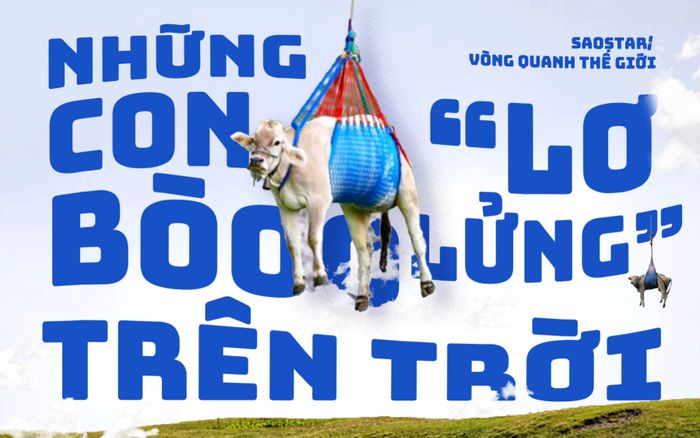 Những con bò 'lơ lửng' trên trời gây sốt mạng xã hội