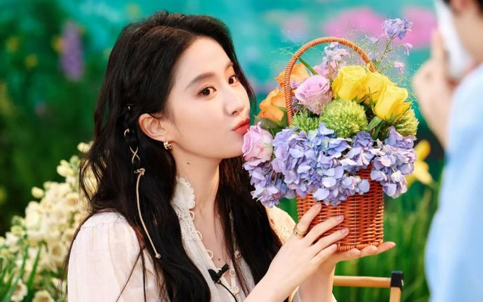Một câu nói của Lưu Diệc Phi khiến netizen 'quay xe' giữa ồn ào của Triệu Lệ Dĩnh