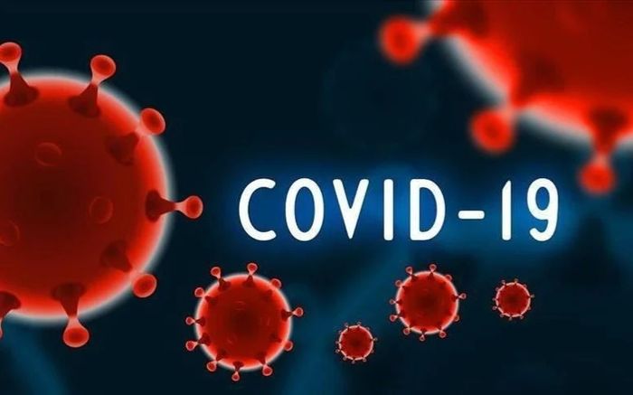 Từ đầu năm đến nay, Việt Nam ghi nhận 641 ca mắc COVID-19