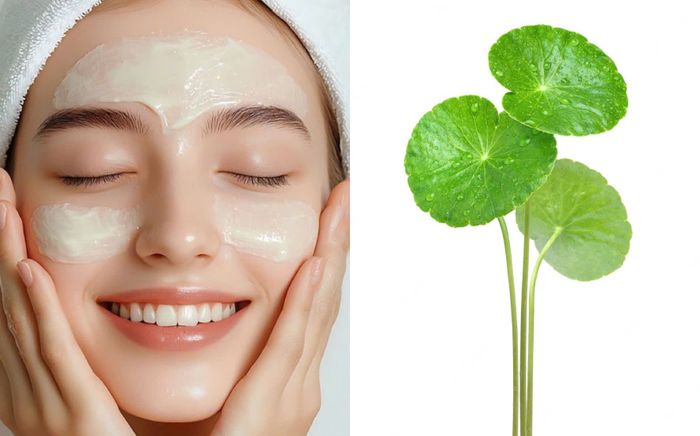 Thần dược rau má: Từ món ăn dân dã đến 'bí thuật' dưỡng da của Gen Z