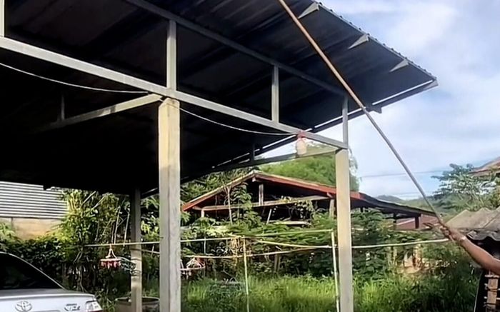 Thấy con rắn có hành động lạ trên mái nhà, người đàn ông lập tức đi mua vé số