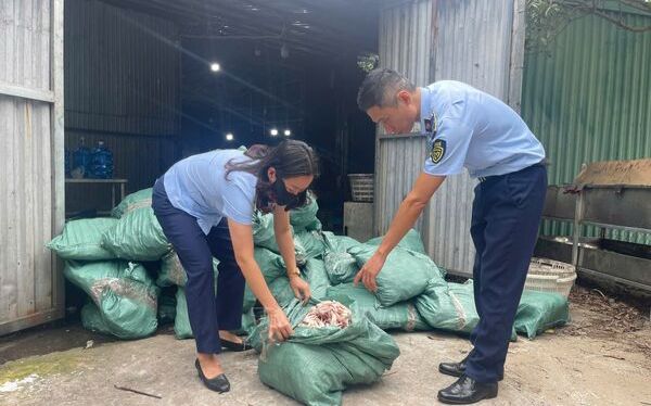 Quảng Ninh: Thu giữ hơn 33 tấn thực phẩm đông lạnh bốc mùi