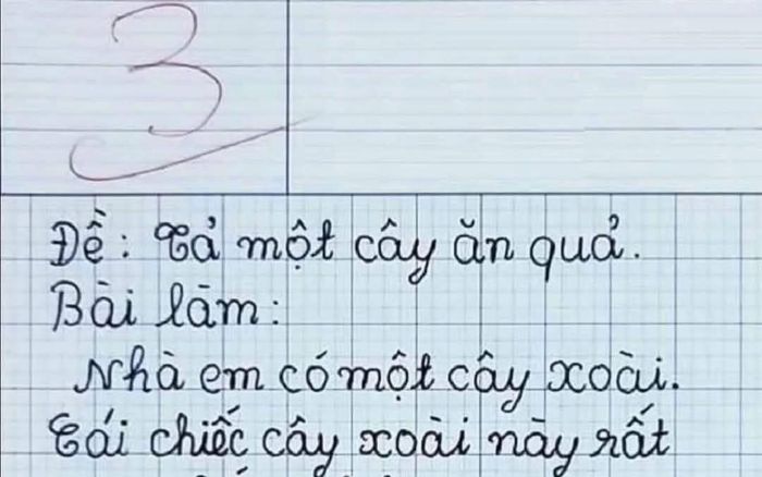 Bài văn tả cây xoài cao 1000 mét, cô giáo chấm 3 điểm nhưng bị dân mạng phản đối