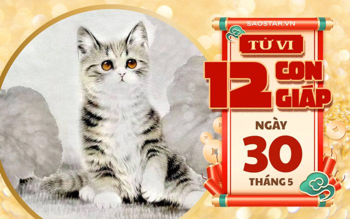 Tử vi hôm nay 30/5: 3 con giáp gặp vận may bất ngờ, tiền bạc rủng rỉnh
