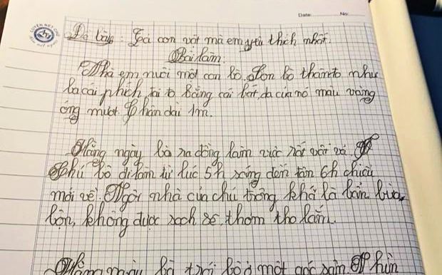 Bài văn tả con bò của học trò tiểu học: Trí tưởng tượng khiến ai cũng bất ngờ
